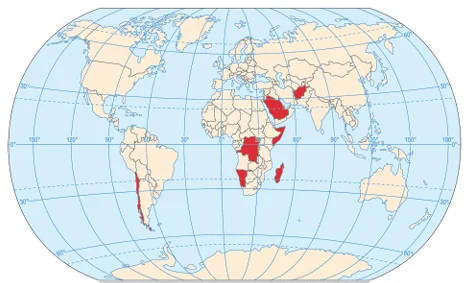 Mapa świata z siedmioma państwami zaznaczonymi na czerwono: Chile w Ameryce Południowej, Arabia Saudyjska i Afganistan w Azji, Somalia, Demokratyczna Republika Konga i Namibia w Afryce oraz Madagaskar.