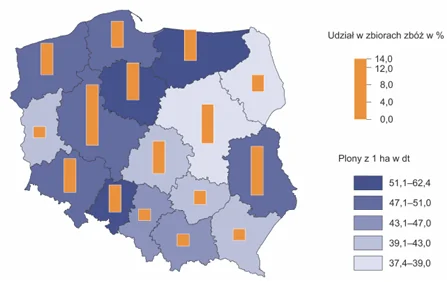 Mapa nr 2: kartogram plonów zbóż z 1 ha w decytonach według województw (najwyższe, 51,1–62,4 dt, m.in. w opolskim, kujawsko-pomorskim i warmińsko-mazurskim; najniższe, 37,4–39,0 dt, m.in. w podlaskim) oraz kartodiagram udziału województw w krajowych zbiorach zbóż w procentach.